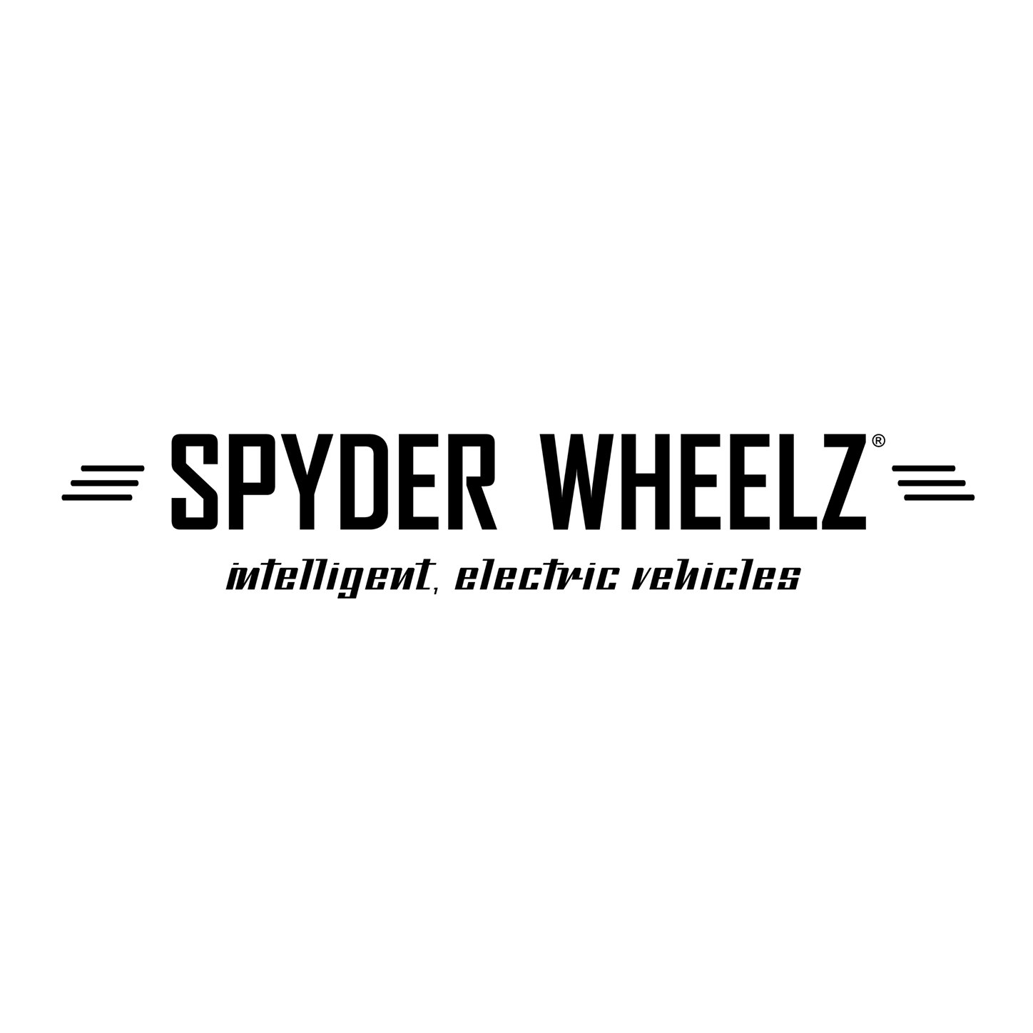 3 uur durende E-Chopper tour van Spyder Wheelz in Bodegraven of Zandvoort!